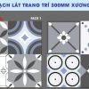 Gạch 30x30 CMC BC3006