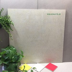 Gạch lát nền 60×60 Catalan 6116