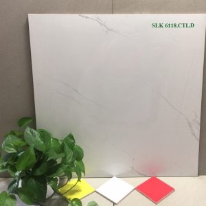 Gạch lát nền 60×60 Catalan 6118