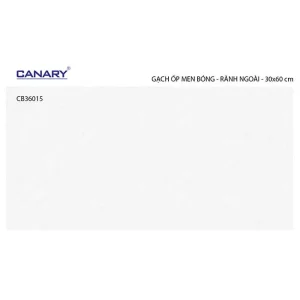 Gạch ốp tường 30x60 TTC Ceramic CB36015
