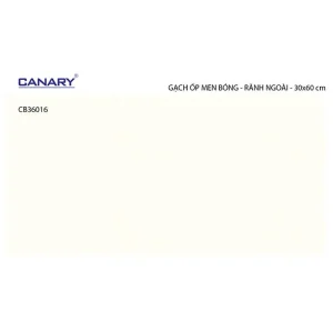 Gạch ốp tường 30x60 TTC Ceramic CB36016