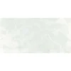 Gạch ốp tường 30x60 TTC Ceramic CB36023