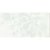 Gạch ốp tường 30x60 TTC Ceramic CB36024