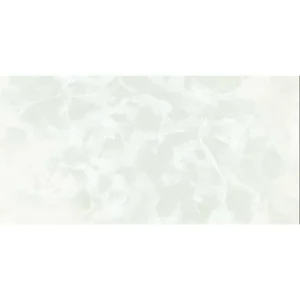 Gạch ốp tường 30x60 TTC Ceramic CB36024