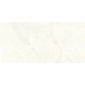 Gạch ốp tường 30x60 TTC Ceramic CB36025