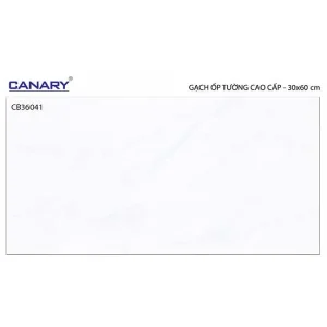 Gạch ốp tường 30x60 TTC Ceramic CB36041