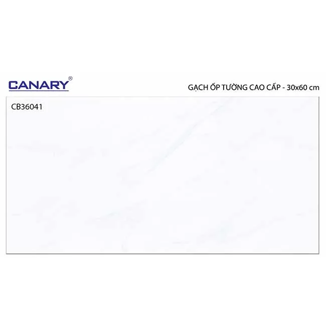 Gạch ốp tường 30x60 TTC Ceramic CB36041