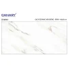 Gạch ốp tường 40x80 TTC Ceramic CB48001