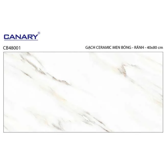 Gạch ốp tường 40x80 TTC Ceramic CB48001