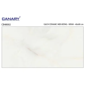 Gạch ốp tường 40x80 TTC Ceramic CB48002