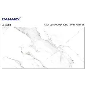 Gạch ốp tường 40x80 TTC Ceramic CB48003