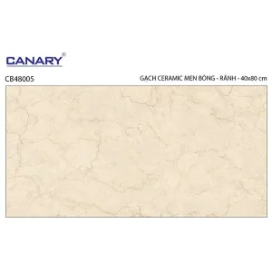 Gạch ốp tường 40x80 TTC Ceramic CB48005