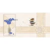 Gạch ốp tường 40x80 TTC Ceramic CDB48008