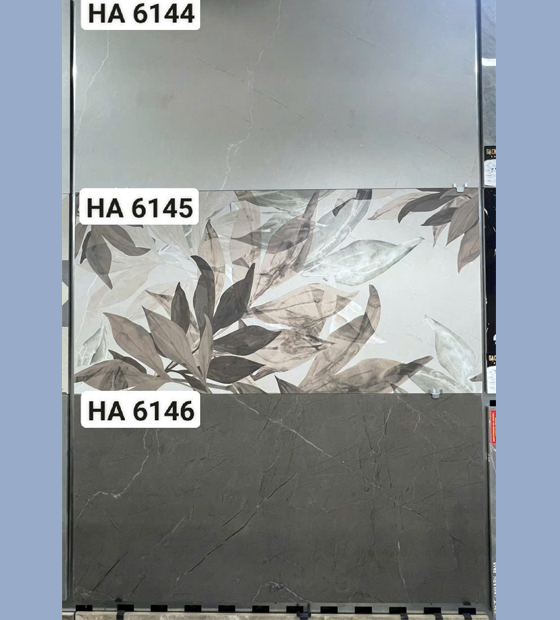 chung-1 Gạch Ốp Lát 60x120cm Ấn Độ HA0003