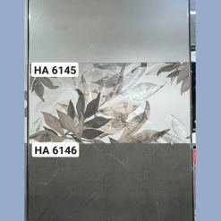 Gạch Ốp Lát 60x120cm Ấn Độ HA0004