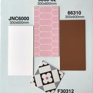 Gạch Ốp Lát Trung Quốc 30x60cm 66310