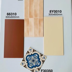 Gạch Ốp Lát Trung Quốc 30x60cm 8Y0010