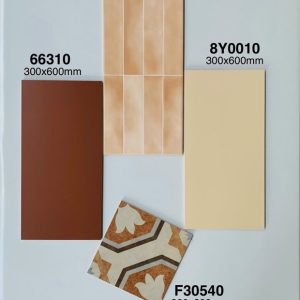 Gạch Ốp Lát Trung Quốc 30x60cm 8Y0010