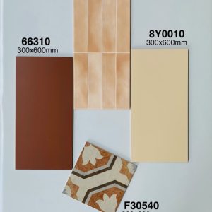 Gạch Ốp Lát Trung Quốc 30x60cm 8Y0010