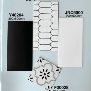 Gạch Ốp Lát Trung Quốc 30x60cm JNC6000