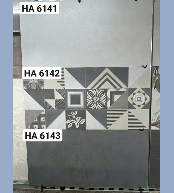 chung-2 Gạch Ốp Lát 60x120cm Ấn Độ HA0003