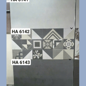 Gạch Ốp Lát 60x120cm Ấn Độ HA6142