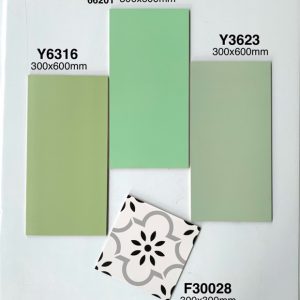Gạch Ốp Lát Trung Quốc 30x60cm Y6316