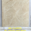 Gạch Ốp Lát 100x100cm Ấn Độ Claros