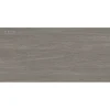 Gạch ốp tường 30x60 TTC Ceramic CM36002