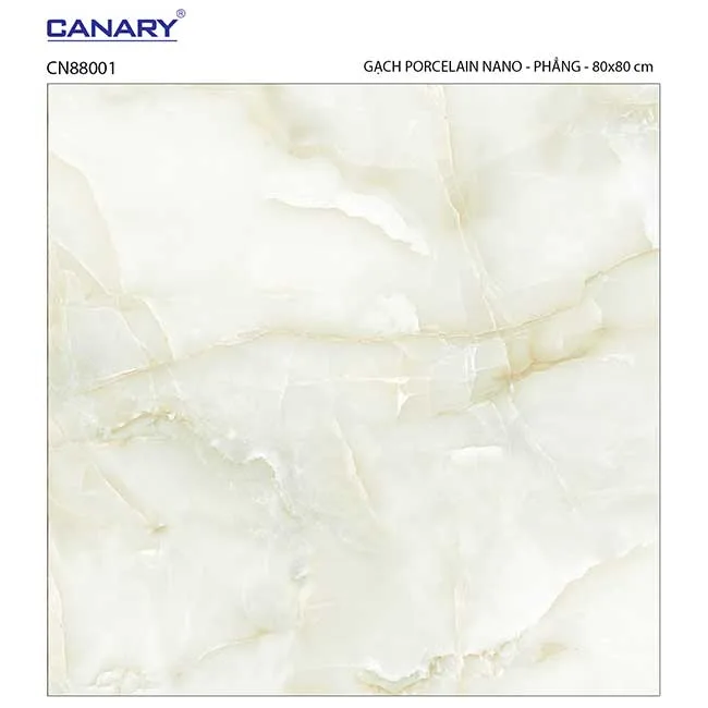 Gạch lát nền 80x80 TTC Ceramic CN88001