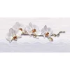 Gạch ốp tường 30x60 TTC Ceramic DB36001