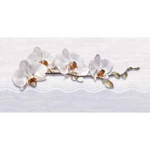 Gạch ốp tường 30x60 TTC Ceramic DB36001