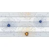 Gạch ốp tường 30x60 TTC Ceramic DB36013