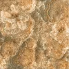 Gạch lát nền Viglacera 60x60 ECO-S605