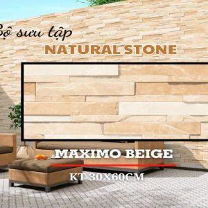 Gạch Ốp Lát 30x60cm Ấn Độ ESTORIL CREMA MATRIX