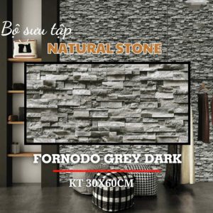 Gạch Ốp Lát 30x60cm Ấn Độ FORNODO GREY DARK