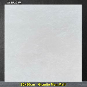 Gạch Ốp Lát Taicera 80x80 G88P22JM Vân Xám