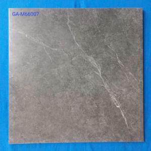 GA-M66007