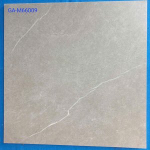 GA-M66009
