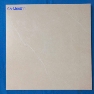 GA-M66011