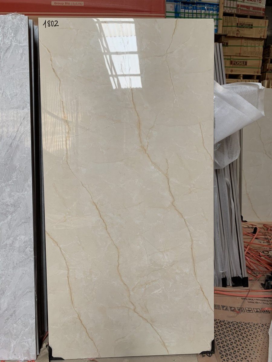 Gạch lát nền 60x120 TASA FUSHITA 1802 3 Gạch lát nền 60x120 TASA FUSHITA 1802