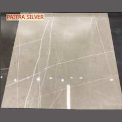 Gạch Ốp Lát 120x120cm Ấn Độ Paitra Silver