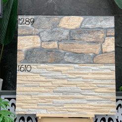 Gạch Trang Trí 30x60 Ấn Độ 1610