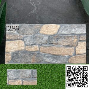 Gạch Trang Trí 30x60 Ấn Độ 1289