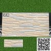 Gạch Trang Trí 30x60 Ấn Độ 1610