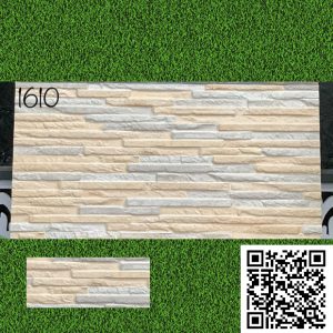 Gạch Trang Trí 30x60 Ấn Độ 1610