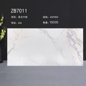 Gạch Ốp Lát 40x80 Trung Quốc ZB7011
