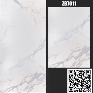 Gạch Ốp Lát 40x80 Trung Quốc ZB7011