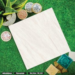 Gạch Ốp Lát 60x60cm Ấn Độ I420