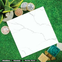 Gạch Ốp Lát 60x60cm Ấn Độ I421